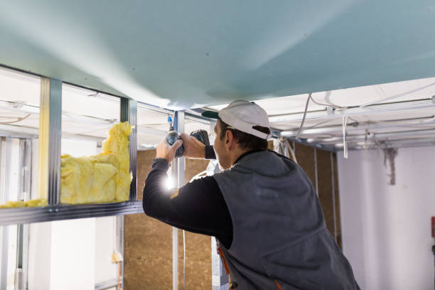 Best Commercial Insulation in Colton, CA