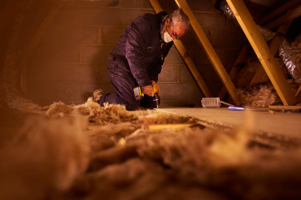 Best Eco-Friendly Insulation in Colton, CA